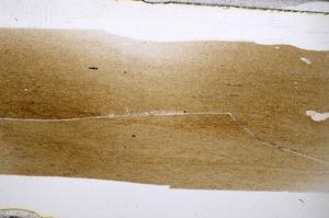 Plane Polarized, E53524