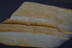 Cross Polarized, E53539