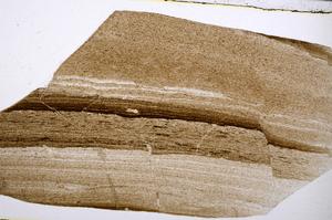 Plane Polarized, E53539