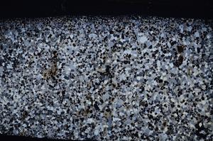 Cross Polarized, E53543