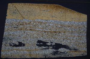 Cross Polarized, E53544