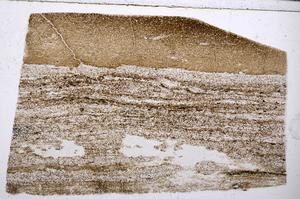 Plane Polarized, E53544