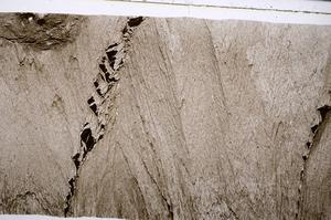 Plane Polarized, E53552