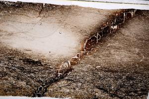 Plane Polarized, E53561/A