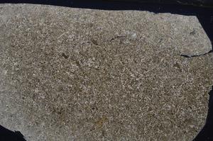 Cross Polarized, E53566