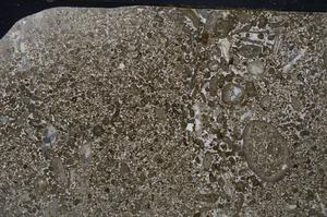 Cross Polarized, E53567