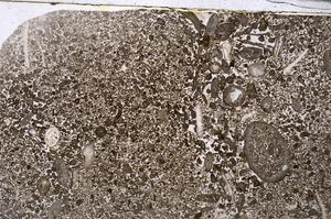 Plane Polarized, E53567