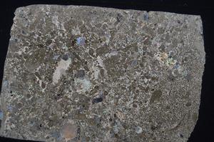 Cross Polarized, E53568