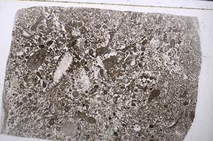 Plane Polarized, E53568