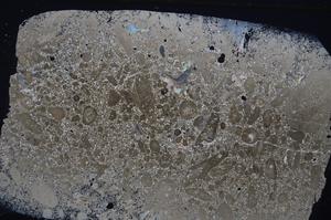 Cross Polarized, E53569