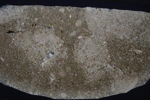 Cross Polarized, E53570