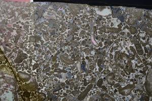 Cross Polarized, E53571