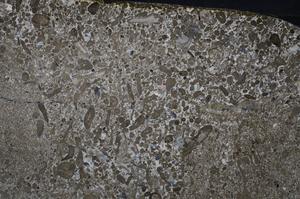 Cross Polarized, E53572