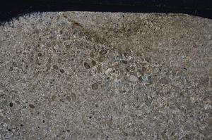 Cross Polarized, E53573