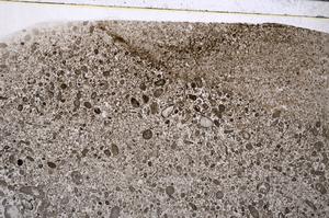 Plane Polarized, E53573