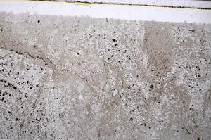 Plane Polarized, E53600