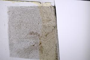 Plane Polarized, E53601