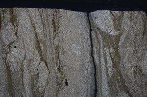 Cross Polarized, E53602