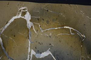 Cross Polarized, E53659