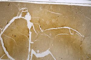 Plane Polarized, E53659