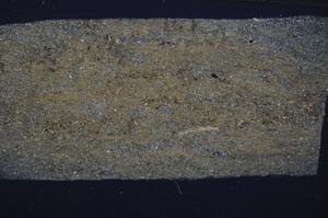 Cross Polarized, E53666