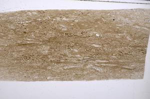 Plane Polarized, E53666