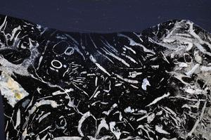 Cross Polarized, E53669