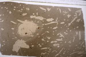 Plane Polarized, E53670