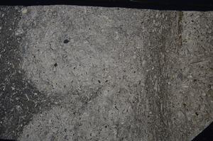 Cross Polarized, E53673