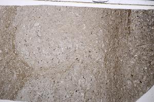 Plane Polarized, E53673