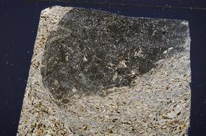 Cross Polarized, E53702