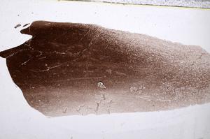 Plane Polarized, E53775