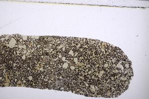 Plane Polarized, E53777