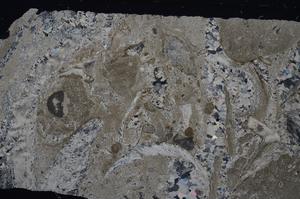 Cross Polarized, E53804