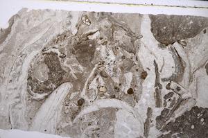 Plane Polarized, E53804