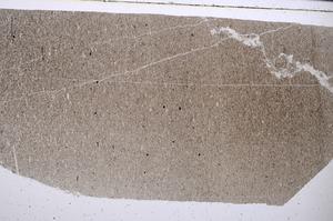 Plane Polarized, E53808