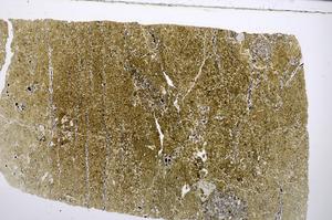 Plane Polarized, E53811