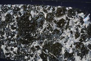 Cross Polarized, E53812