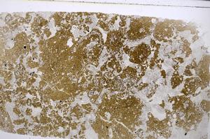 Plane Polarized, E53812