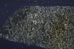 Cross Polarized, E53813