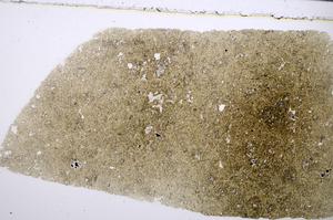 Plane Polarized, E53813