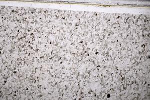 Plane Polarized, E53832