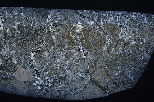 Cross Polarized, E53841