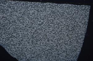 Cross Polarized, E53862