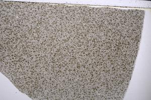 Plane Polarized, E53862