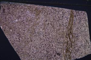 Cross Polarized, E53889