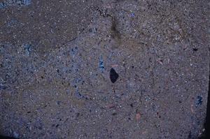 Cross Polarized, E53910/A