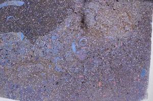 Plane Polarized, E53910/A