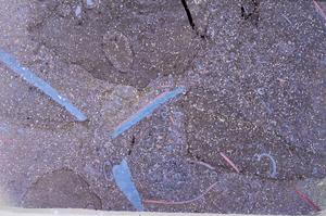 Plane Polarized, E53910/C