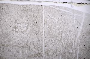 Plane Polarized, E54022